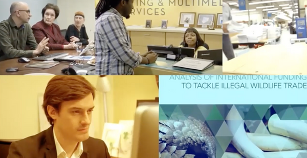 General Services-WBG